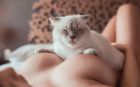 VIP шлюха Алиса, 29 лет, г. Москва, выезд